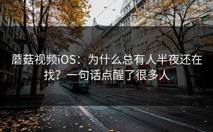蘑菇视频iOS:为什么总有人半夜还在找?一句话点醒了很多人 蘑菇视频iOS:为什么总有人半夜还在找?一句话点醒了很多人