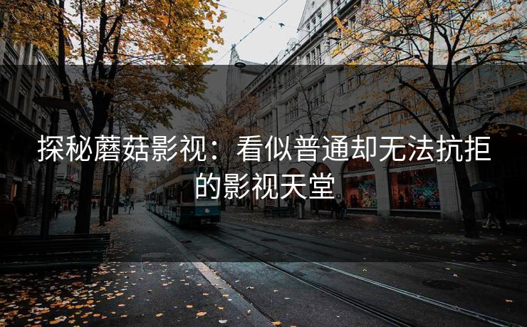 探秘蘑菇影视：看似普通却无法抗拒的影视天堂